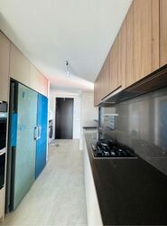 Irwell Hill Residences (D9), Apartment #480007291